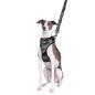 Preview: DOOG Neoflex Harness BRUISER Gr. M